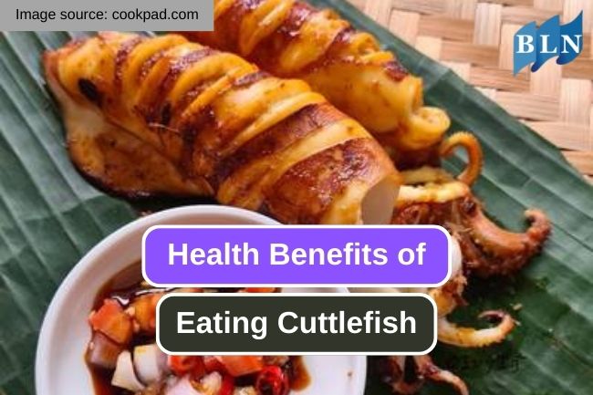 The 8 Best Benefits of Eating Cuttlefish